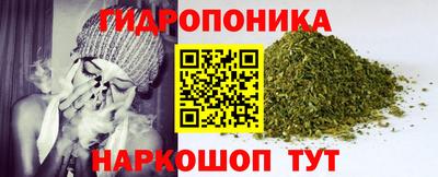 индика Тара