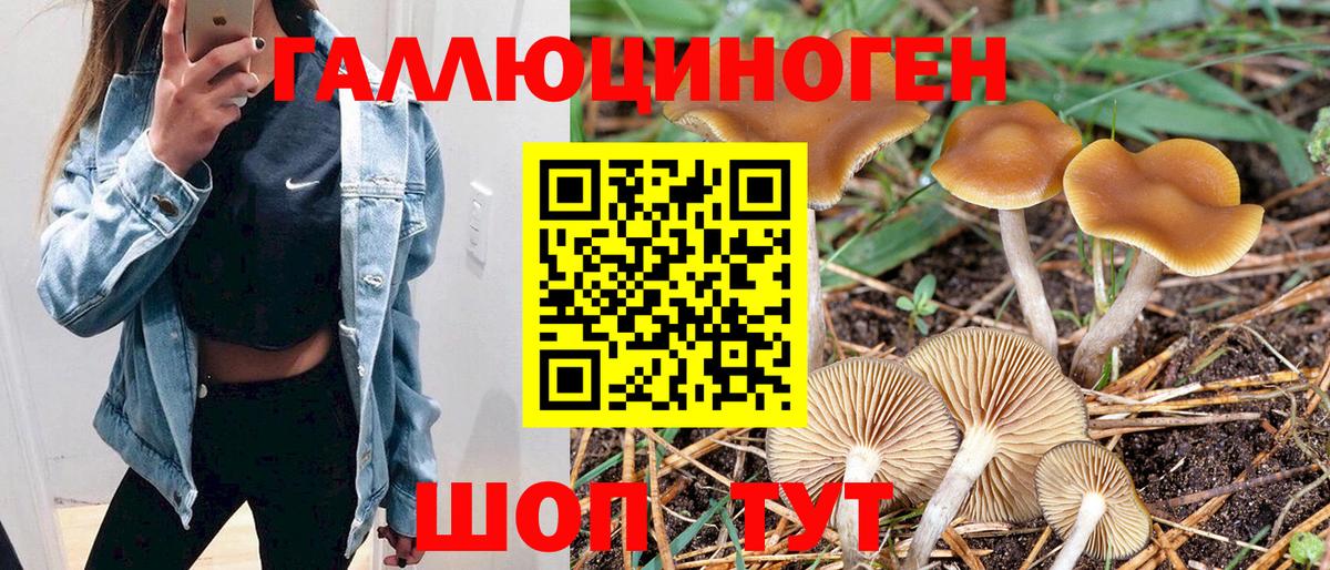 Псилоцибиновые грибы Cubensis  Вход с VPN  Полысаево 