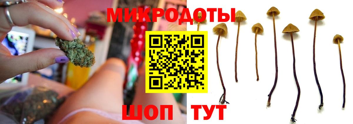 Галлюциногенные грибы мухоморы Полысаево